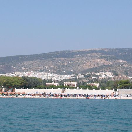 Olive&Sea Villa-Olive Mattinata Εξωτερικό φωτογραφία