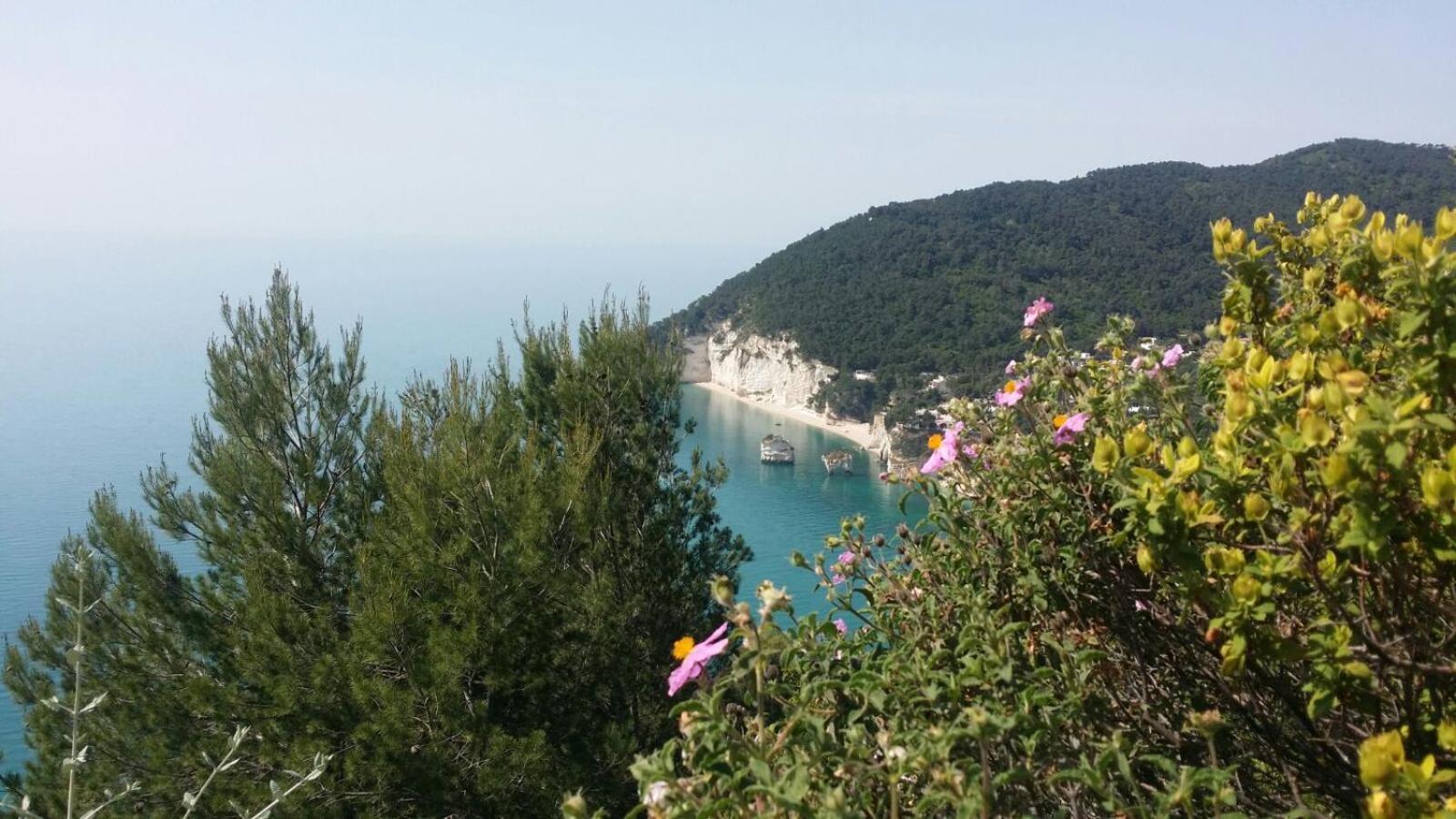 Olive&Sea Villa-Olive Mattinata Εξωτερικό φωτογραφία