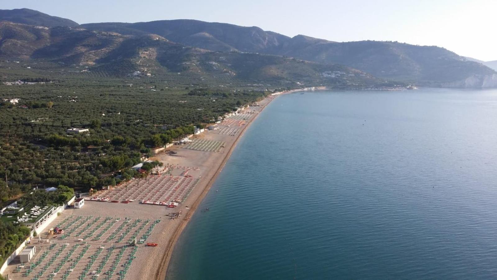 Olive&Sea Villa-Olive Mattinata Εξωτερικό φωτογραφία