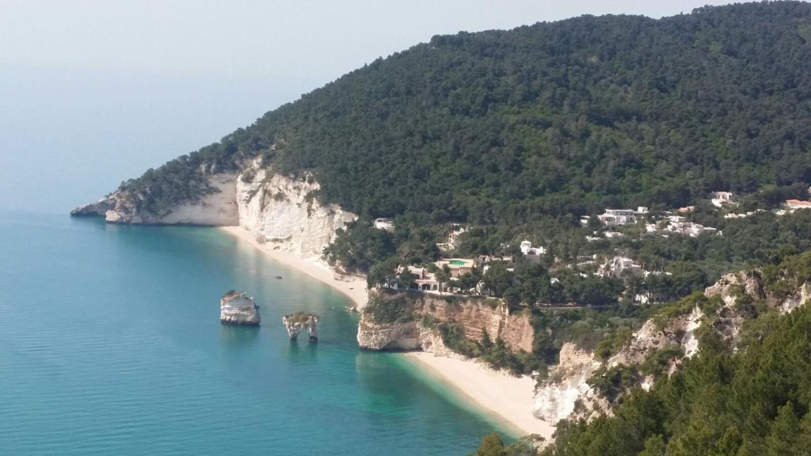 Olive&Sea Villa-Olive Mattinata Εξωτερικό φωτογραφία