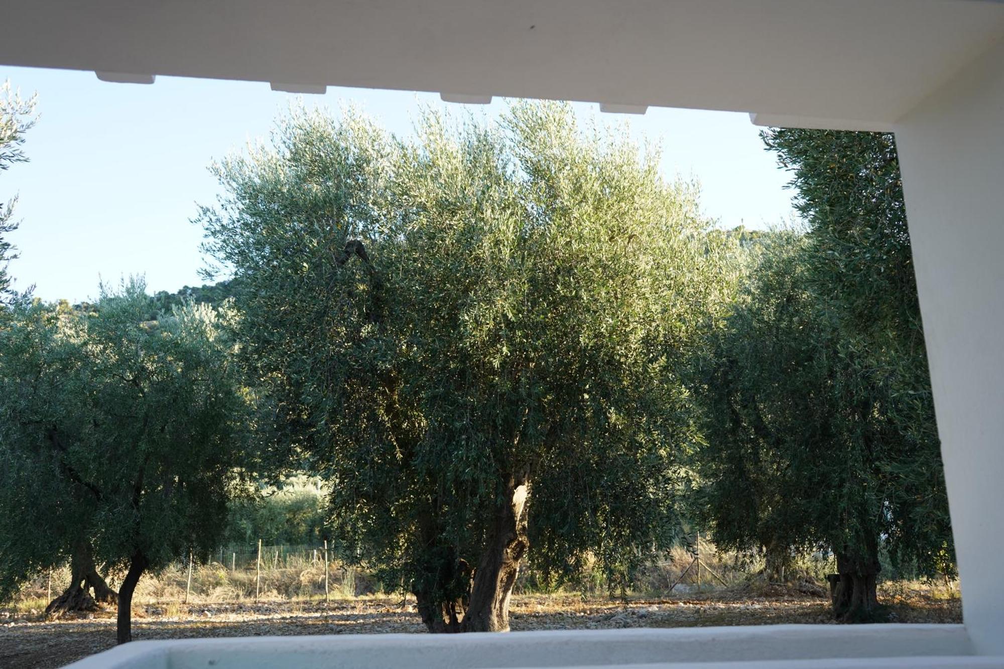 Olive&Sea Villa-Olive Mattinata Εξωτερικό φωτογραφία
