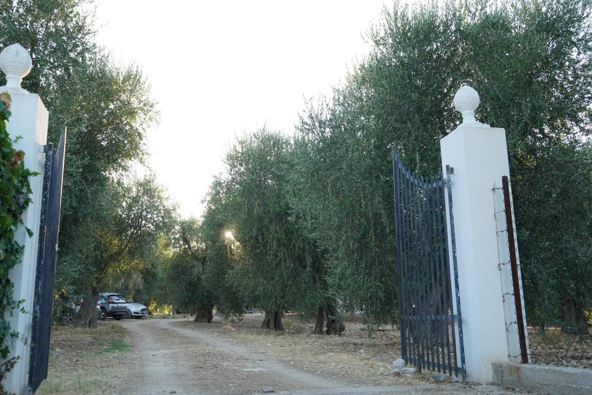 Olive&Sea Villa-Olive Mattinata Εξωτερικό φωτογραφία