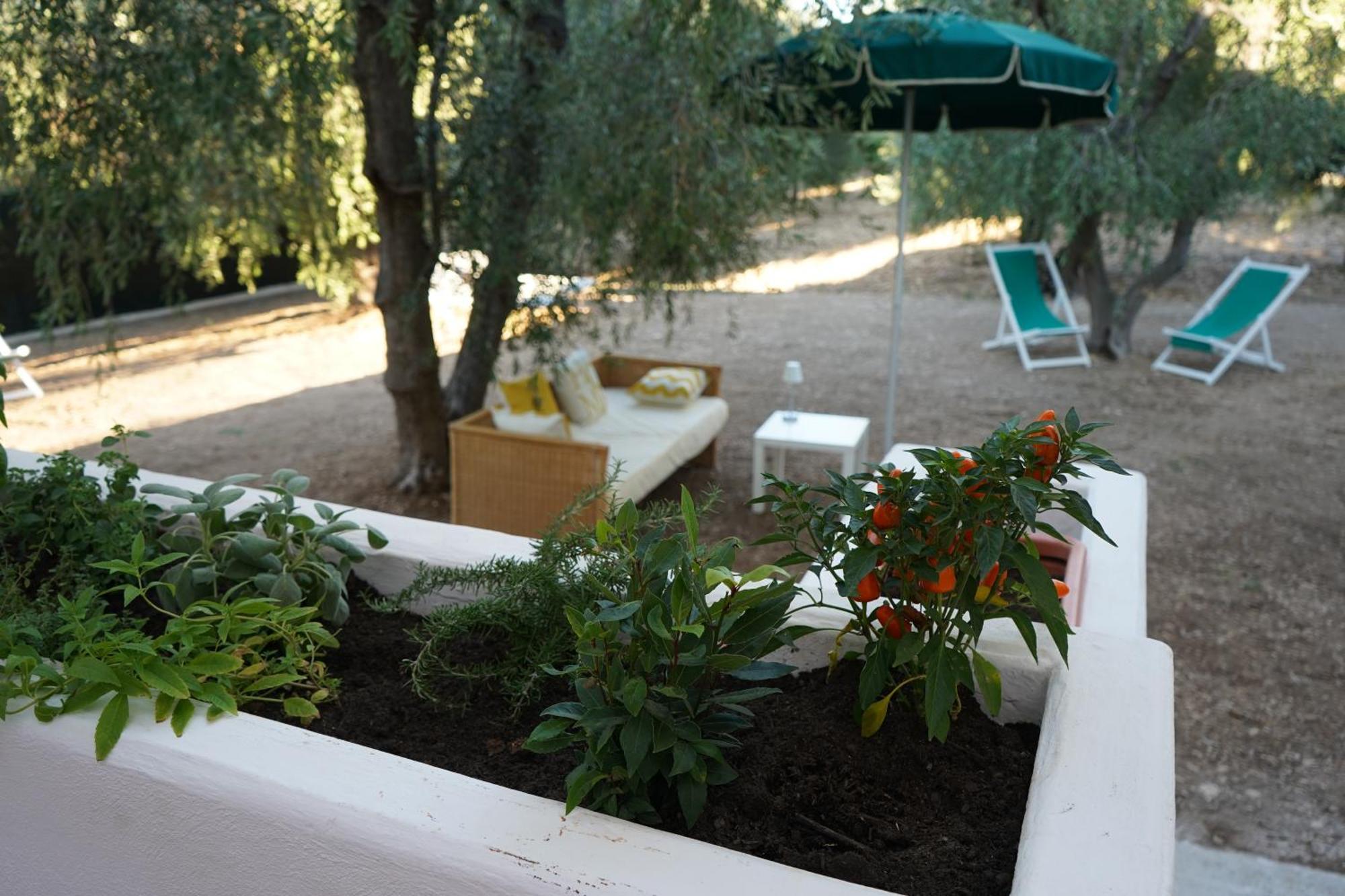 Olive&Sea Villa-Olive Mattinata Εξωτερικό φωτογραφία