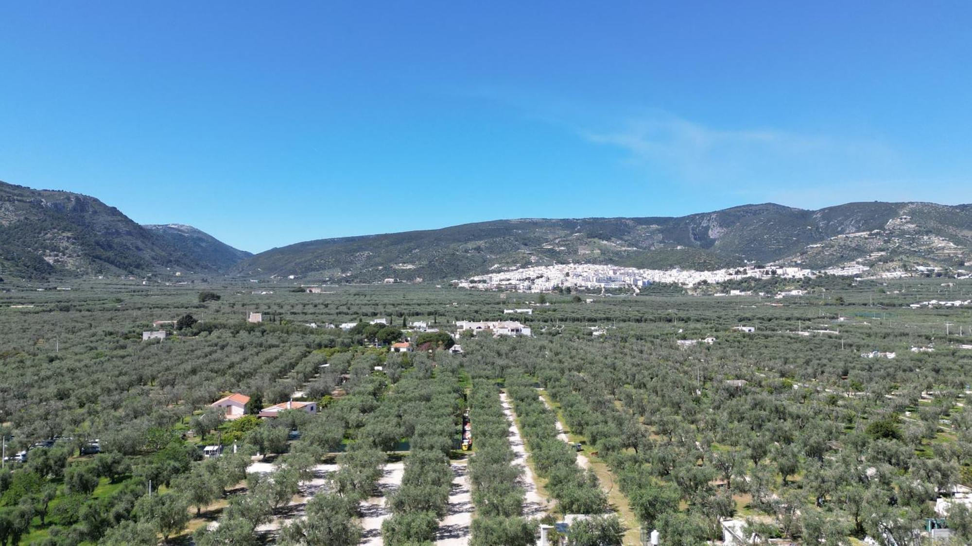 Olive&Sea Villa-Olive Mattinata Εξωτερικό φωτογραφία