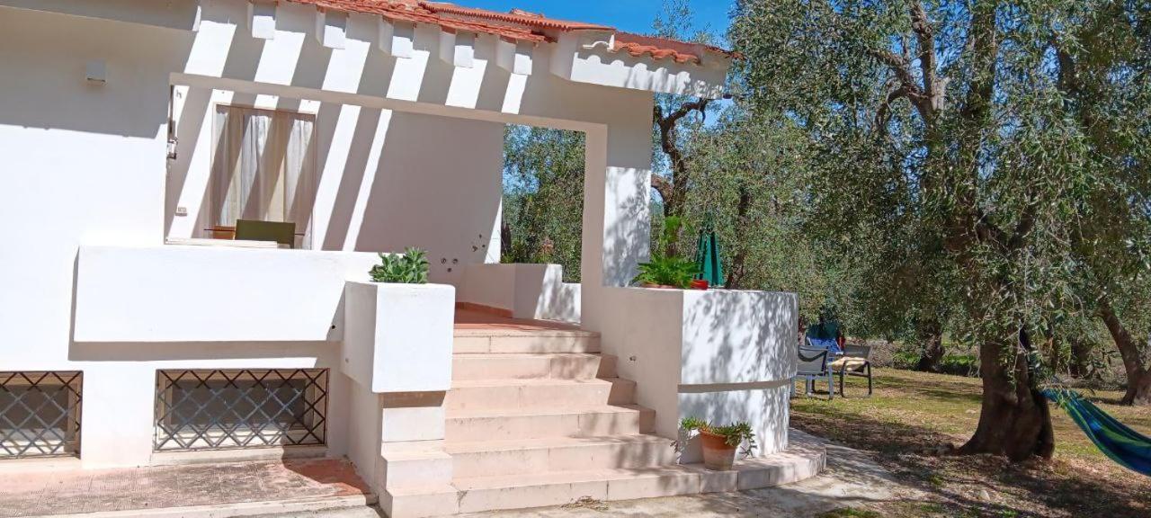 Olive&Sea Villa-Olive Mattinata Εξωτερικό φωτογραφία