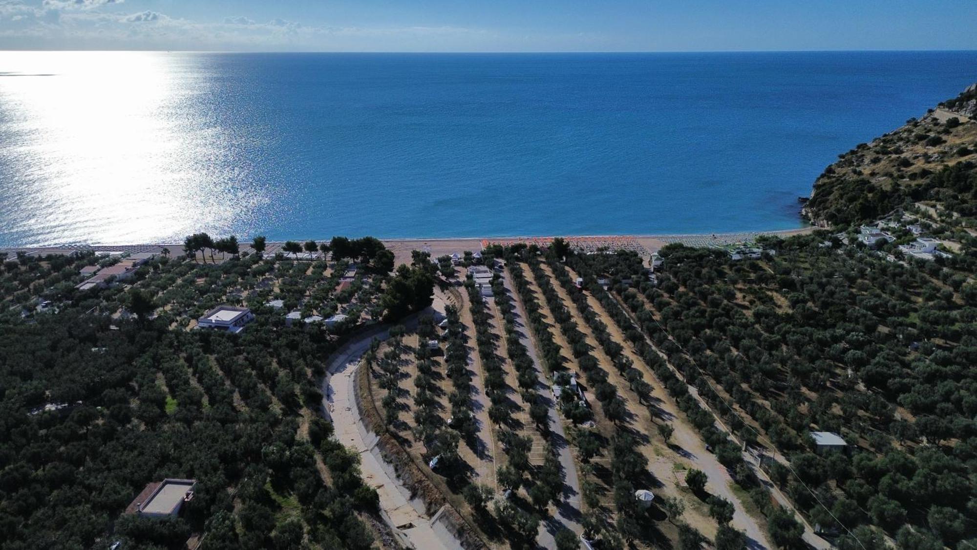 Olive&Sea Villa-Olive Mattinata Εξωτερικό φωτογραφία