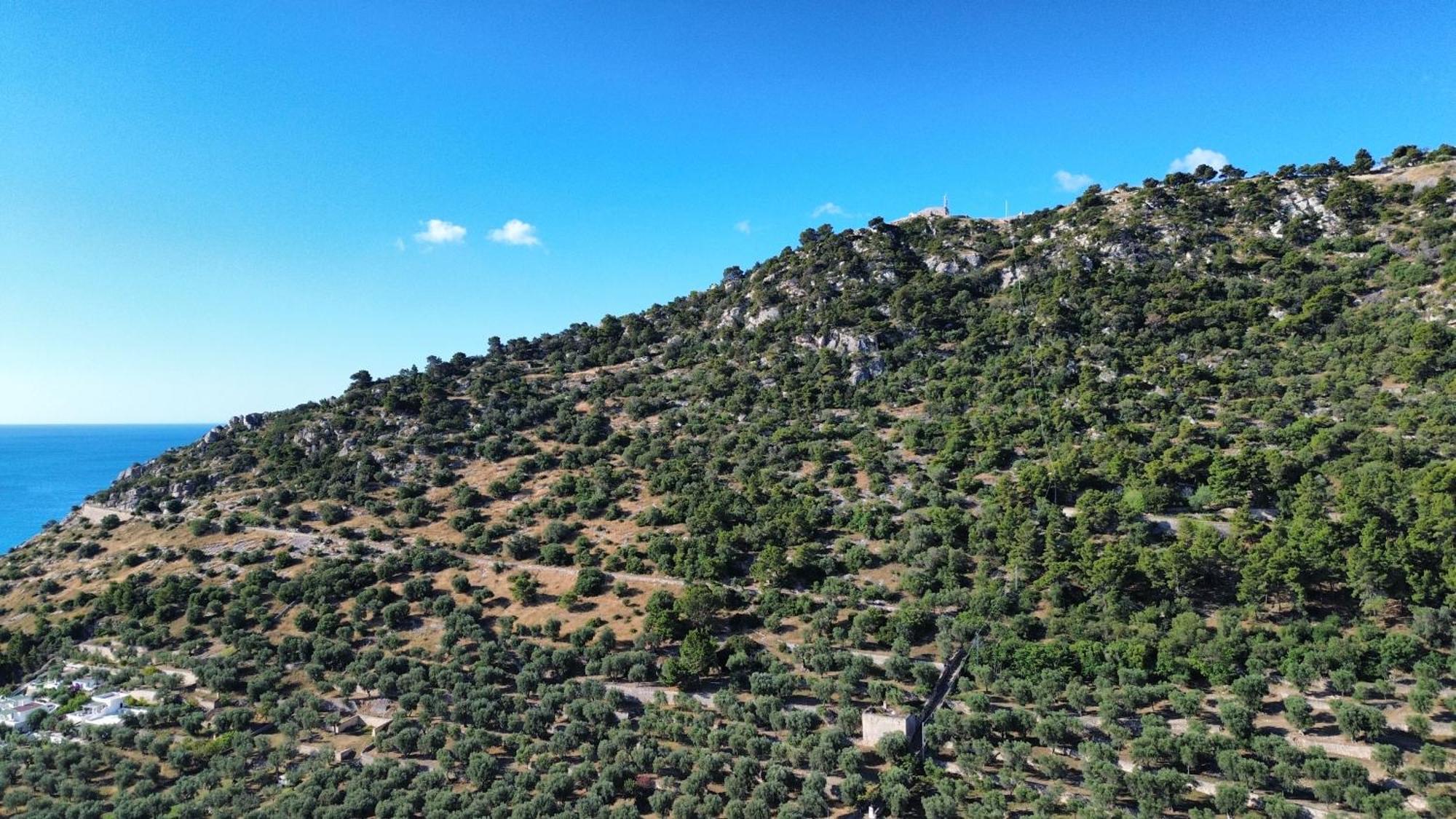 Olive&Sea Villa-Olive Mattinata Εξωτερικό φωτογραφία