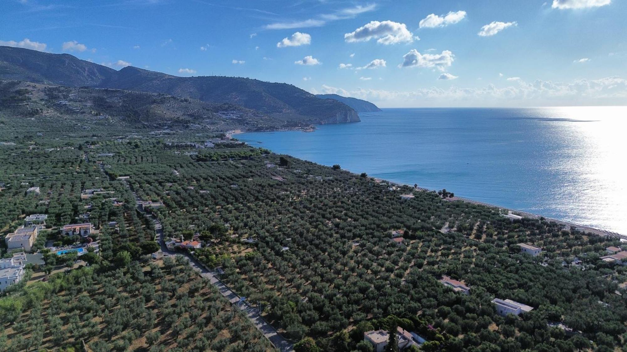 Olive&Sea Villa-Olive Mattinata Εξωτερικό φωτογραφία